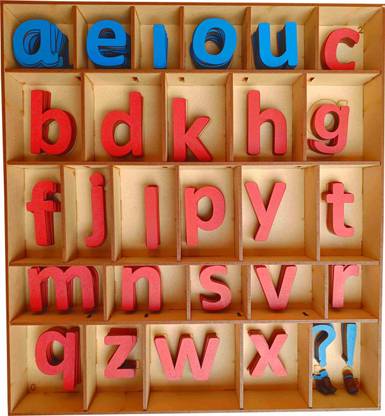 Cryo Craft Montessori Movable Lower case/Small Letter/Alphabets-with Organizer Box