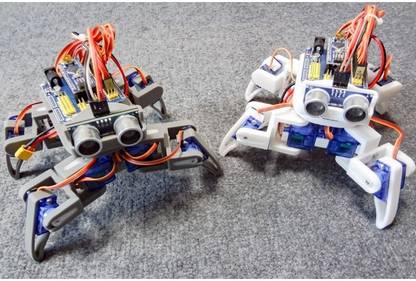 Printed Bots Quadruped Spider / 4-Legged Walking Robot (3D Printed Parts with Screws only)