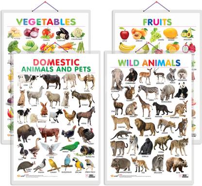 GO WOO Pack of 4 Fruits, Vegetables, Domestic Animals and Pets and Wild Animals charts