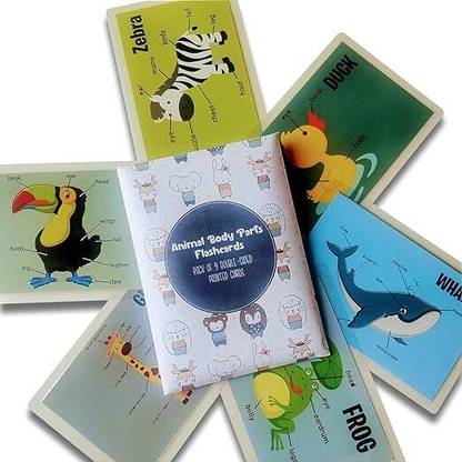 doxbox Animal Body Parts Flashcards- Pack of 9