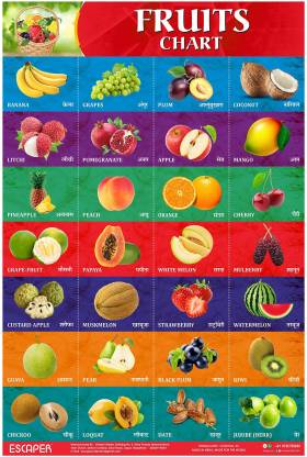 Fruits Chart for Kids Learning, Large Size Fruits Name Charts for Kids ...