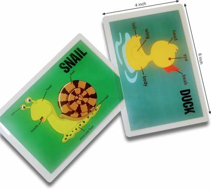 doxbox Animal Body Parts Flashcards