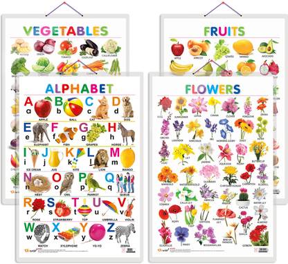 GO WOO Pack of 4 Alphabet, Fruits, Vegetables and Flowers charts