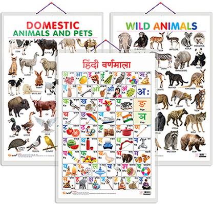 GO WOO Pack of 3 Domestic Animals and Pets, Wild Animals and Hindi ...