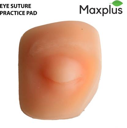 Max Plus | EYE Surgery Model | Suture Practice Pad | Replicates Human Eye | Ideal for Students & Medical Practitioners for Demonstration(MADE IN INDIA)