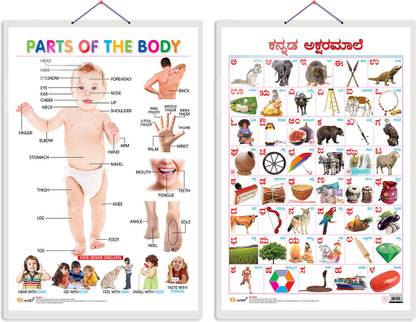 GO WOO Pack of 2 Parts of the Body and Kannada Alphabet Educational charts