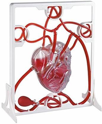 wkm Pumping Heart Model