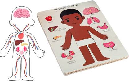 Plus Shine Human Parts Organs & Body System Name Board Toys Sorting Blocks Shape Puzzle