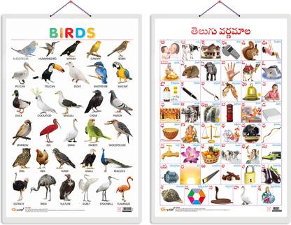 GO WOO Pack of 2 Birds and Telugu Alphabet (Telugu) Educational charts Lamination