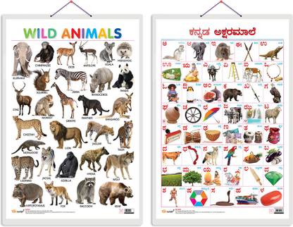 GO WOO Pack of 2 Wild Animals and Kannada Alphabet Educational charts with Lamination