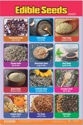ESCAPER Edible Seeds Chart for Kids, Chart for Kids Learning (11.5 x 17.5 inches)