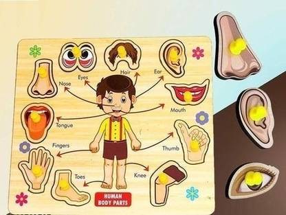 PopPlop Wooden Board Puzzle toys Body Part Wooden Slat Board Jigsaw Assembly ShapePuzzle