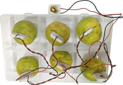 MELODY's Lemon Battery General Science Working Experiment DIY Kit Science Fair Project.