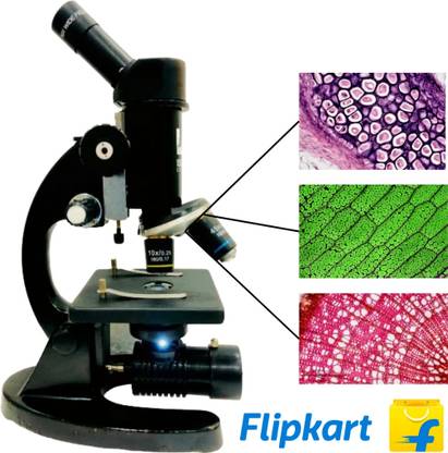labcare Monocular 1125x Student Compound Microscope