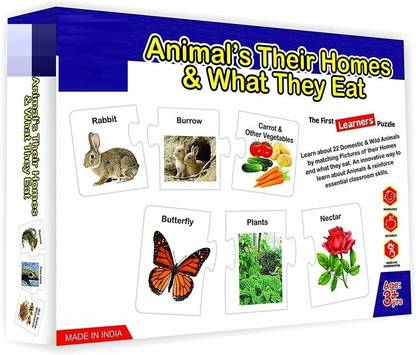 zokato Animals Their Homes and What They EAT for Kids. Learn About Different Animals