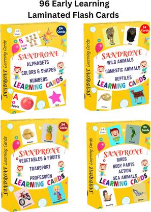 Sandrone All in One Flash Cards for Early Learning of Kids (4 Boxes)