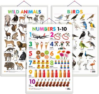 Set of 3 Wild Animals, Birds and Numbers 1-10 Early Learning Educational Charts for Kids | 20"X30" inch |Non-Tearable and Waterproof | Double Sided Laminated | Perfect for Homeschooling, Kindergarten and Nursery Students Paper Print