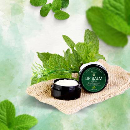 LA MONK Organic Lip Balm Infused with Green Peppermint Oil, Wild Honey & Vitamin E