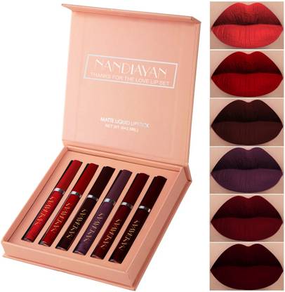 Nandiayan 6Pcs Long Lasting Matte Liquid Lipstick Combo–Waterproof,brown &Wine Shades SetD