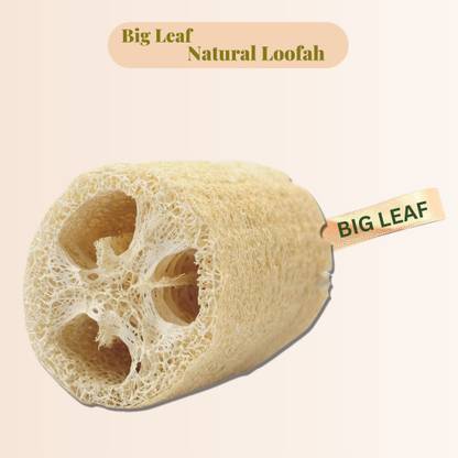 BIG LEAF Loofah
