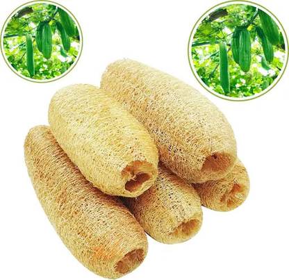 NEWBOOKEY Loofah