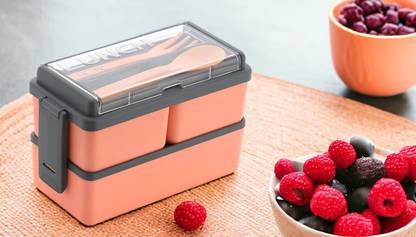 DDecora 3 Compartment Lunch Box with Spoon and Fork For Office ,School, Collage (ORANGE) 3 Containers Lunch Box