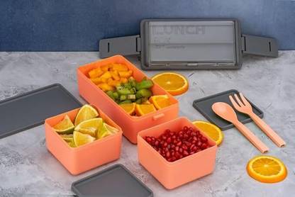 MR Wonder Premium Quality Double Decker/Layer Lunch Box with 3 Detachable Box, 2 Spoons 3 Containers Lunch Box