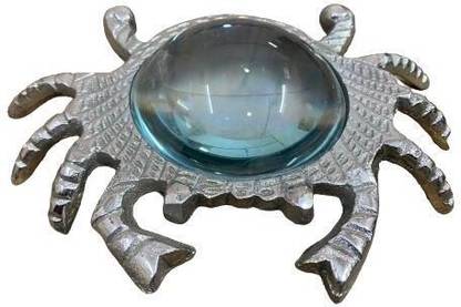 hnhan magni +5 4X Magnifier glass