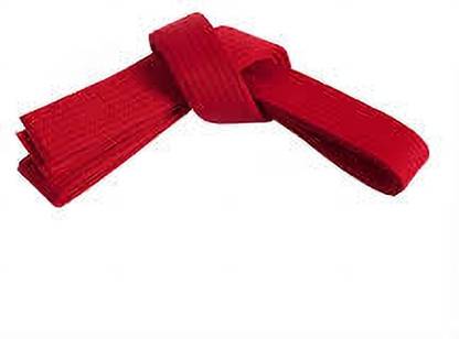 Akai Sports Red KARATE/TAEKWONDO BELT 3m MMA Abdominal Belt Martial Art Uniform