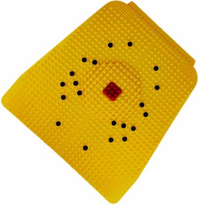 PTOSS Acupressure Health Pad with 20 Bio Magnets & Energy ball for Diabetic control Massager