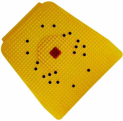 PTOSS Blood Circulatory Yoga Foot Pad with 20 Bio Magnets & Energy ball for Diabetic control Massager