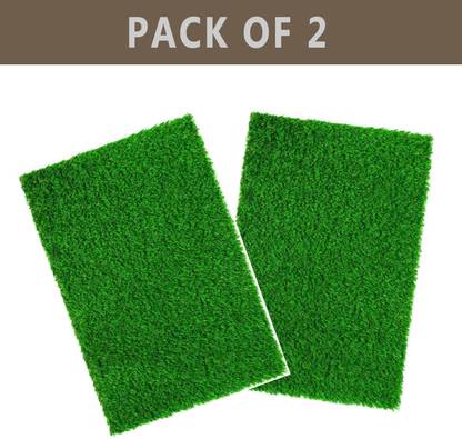 Worthful Creation PP (Polypropylene) Door Mat  (Green, Medium, Pack of 2)