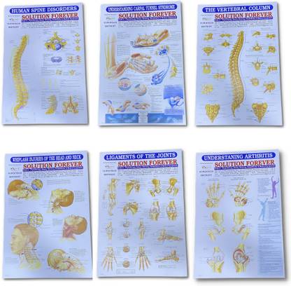 Biotronix Physiotherapy Clinic Chart Set Wall pasted 6 different wall pasted Medical Reacher & Grabber