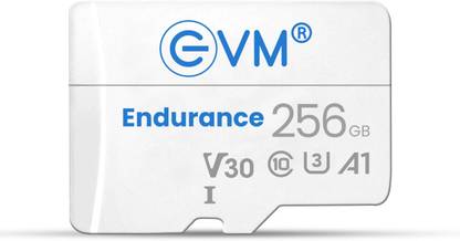 EVM ENTF/256GBU3 Endurance 256 GB TF Card Class 10 100 MB/s  Memory Card Compatible with Camera, Mobile