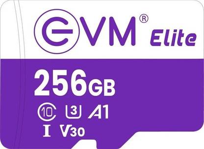 EVM EETF/256GU3 U3 V30 256 GB TF Card Class 10 100 MB/s Memory Card Compatible with Camera, Mobile, Tablet