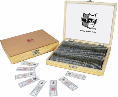 ESAW PREPARED SLIDE BOX OF 100 SLIDES Microscope Slide Box