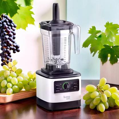 Blend Art 2025 1500 W Juicer Mixer Grinder