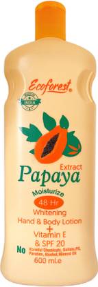 Ecoforest eco lo 101