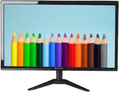 Punta 46.99 cm (19 inch) Full HD Monitor (P-19HW)