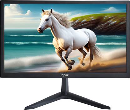EVM 48.26 cm (19 inch) HD OLED Panel Monitor (Grand LED Monitor - 19 inch)