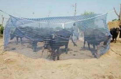PARTH TRADERS HDPE - High Density Poly Ethylene Adults Washable Animal Mosquito Net for Buffalo/Cow 15x10x10 ft Mosquito Net