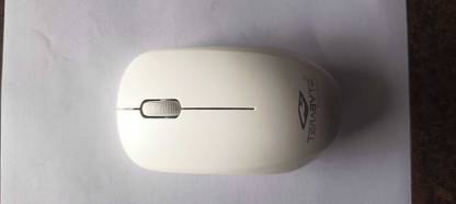 Terabite HAMSTER TB-WM-911 Wireless Ambidextrous Optical Mouse
