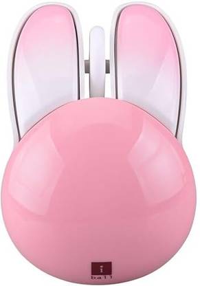 iball Grabit Wireless Ambidextrous Optical Mouse