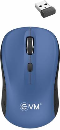 EVM WM009 Wireless Optical Mouse