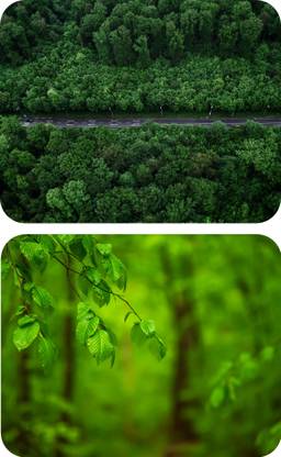 escope Pack fo 2 Nature Printed MousePad for Computer, PC, Laptop Non Slip Base Mousepad