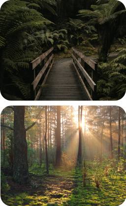 escope Pack fo 2 Nature Printed MousePad for Computer, PC, Laptop Non Slip Base Mousepad