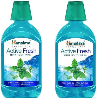 HIMALAYA MINT MOUTH WASH - MINT