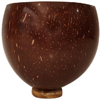 Big Bear Crafts Coconut Shell Wood Beer Mug