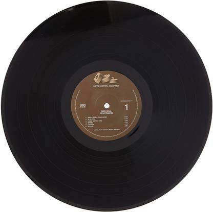 Nevermind Nirvana Vinyl Standard Edition