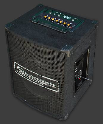 stranger Cube Pm102 Guitar Amplifier